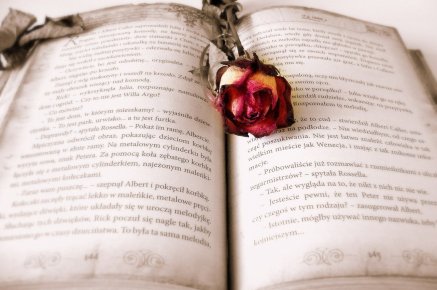 Fiction Editing