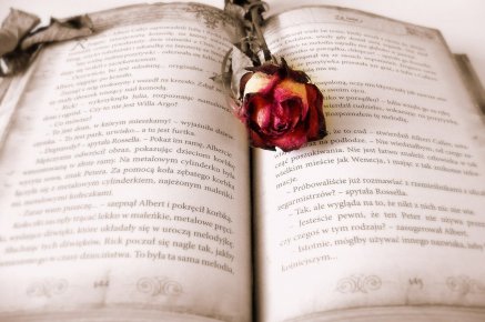 Fiction Editing